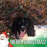 Profile Picture of Ivan Stephens (@ivan.stephens.56) on Instagram