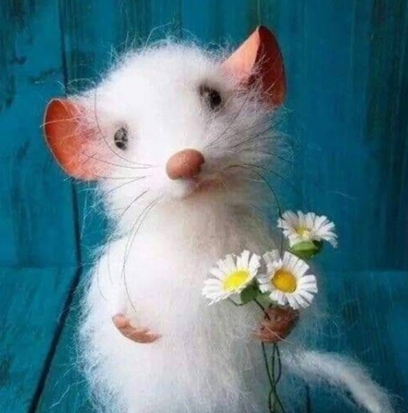 Profile Picture of Tammy Hale (@queen206) on Poshmark