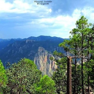 Profile Picture of Jesus Herminio Rivas (@rivasponcejesu1) on Twitter