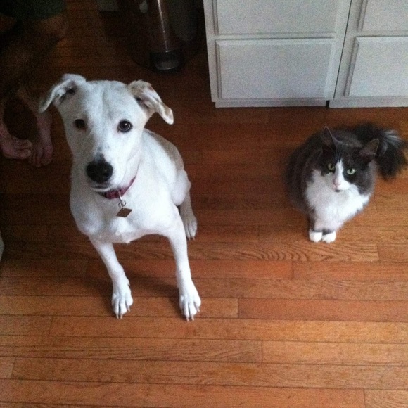 Profile Picture of Michaela Tarr (@greyglobe) on Poshmark