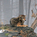 Profile Picture of Andrea Barron (@andye1968) on Flickr