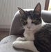 Profile Picture of Stéphanie Wilhelm (@stephanie.wilhelm.9634) on Facebook