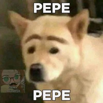 Profile Picture of Pepe Da Dog (@Paul34285822) on Twitter
