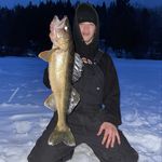 Profile Picture of Fish Pic Page (@henley.jared) on Instagram