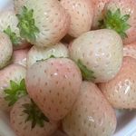 kate - Instagram Profile Picture of kate (@kateeyoon) on Instagram