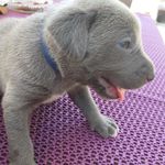 michael schrank - Instagram Profile Picture of michael schrank (@m.schrank28) on Instagram