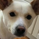 Profile Picture of Derek Kuhns (@deakerbeez) on Instagram