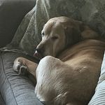 Profile Picture of Kyle Gabriel (@kylegabriel5866) on Instagram