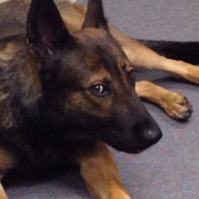 Profile Picture of Joe Durney (@Jdurney419) on Twitter