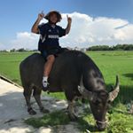 Profile Picture of Joshua Levi (@joshua_xxl) on Instagram