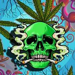 Profile Picture of Davor Hadžikadić (@d.hadzicadic) on Instagram
