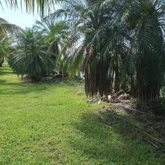 Profile Picture of agustintomasriver (@agustintomasriver) on Tiktok