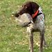 Profile Picture of Joel Johansen (@joeljohansen12) on Pinterest
