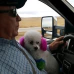 Profile Picture of Eugene Nault (@Eugene-Nault) on Facebook