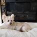 Profile Picture of William Dougherty (@william.dougherty.1694) on Facebook