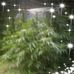 Profile Picture of Jessie Kapp (@jessie.kapp.7) on Facebook