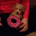 Profile Picture of Jody Bittner (@jodybittner) on Pinterest
