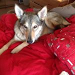 Profile Picture of Marilyn Lomax (@marilynlomax) on Instagram