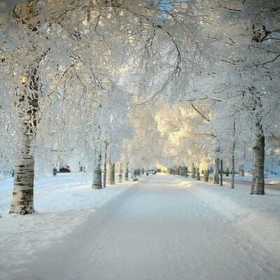 Profile Picture of Sherrie Wilkins (@sherrievpctp) on Twitter