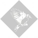 Profile Picture of Alex DiGiacomo (@alexdigiaco) on Instagram