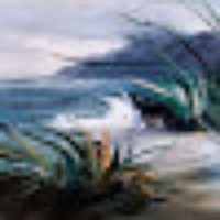 Profile Picture of Steven Bob (@steven-bob-5) on Quora