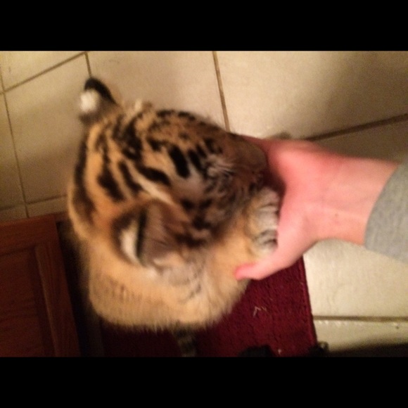 Profile Picture of Michael Jachym (@yaya2301) on Poshmark