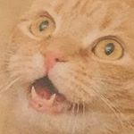 Profile Picture of Peter Czechmann (@der_schlagzeuger_) on Instagram