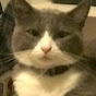 Profile Picture of Trent Gibby (@trentgibby6047) on Tiktok
