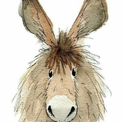 Profile Picture of Brian Collyer (@collyer_brian) on Twitter