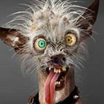 Profile Picture of Tommy Gresham (@greshamtommy) on Instagram