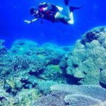 Profile Picture of Johnny Phillips (@johnnybravas) on Instagram