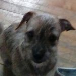 Profile Picture of alison (@tinkerbelbaby84) on Instagram