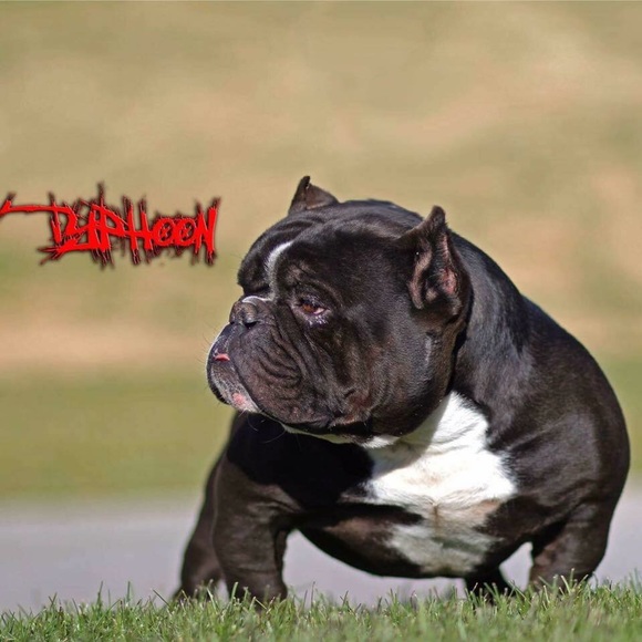 Profile Picture of Andrew Vidales (@sideswipe806) on Poshmark