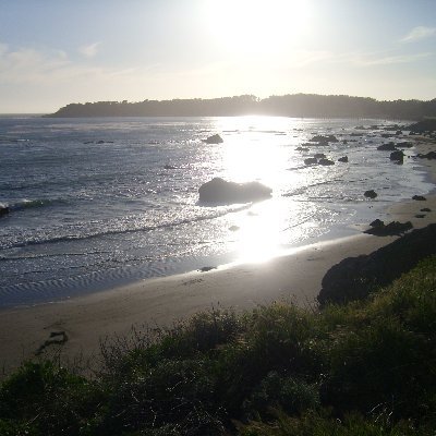 Profile Picture of Gale Tobin (@GaleTobin_) on Twitter