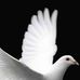 Profile Picture of Amir Tanesh (@amir.tanesh) on Facebook