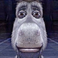 Profile Picture of Erik David Elizondo (@erik-david-elizondo) on Quora