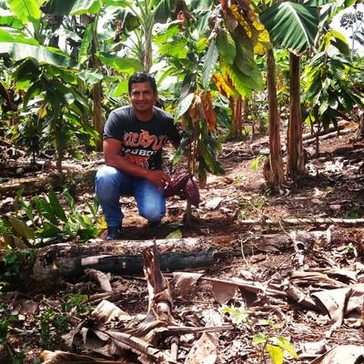 Profile Picture of Richard Paul Rojas R (@R3Pauls) on Twitter