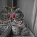 Profile Picture of Maram Siddiq (@maram.khaled.9083) on Facebook