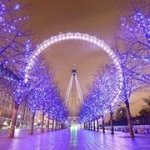 Profile Picture of Laura Hutchings (@womble115) on Instagram