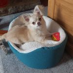 Profile Picture of Ann Duguid (@ann.duguid.1) on Instagram