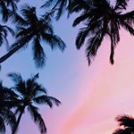 Profile Picture of Kevin Mendoza (@kevin_mendoza_3rd) on Instagram