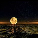 Profile Picture of Daniel Hoosier (@warair55) on Instagram