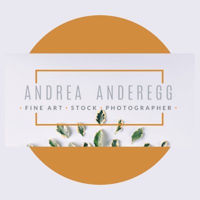 Profile Picture of Andrea Anderegg (@andreaanderegg) on Twitter