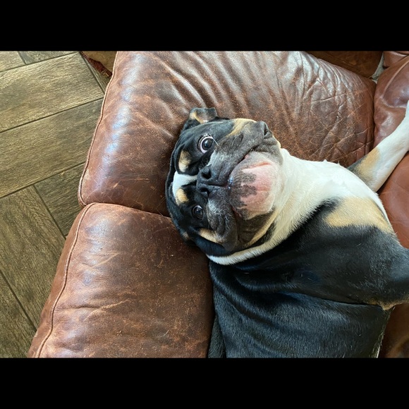 Profile Picture of Kaitlyn Rossberg (@kaitlynrossberg) on Poshmark