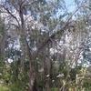 Profile Picture of Paula Fowler (@@paulafowler5) on Tiktok