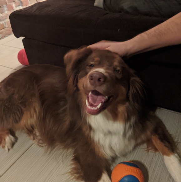 Profile Picture of Ashley Wyrzykowski (@awyrzo) on Poshmark