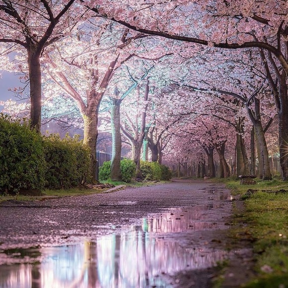 Profile Picture of Cinnamon Englesby (@cinnamone) on Poshmark