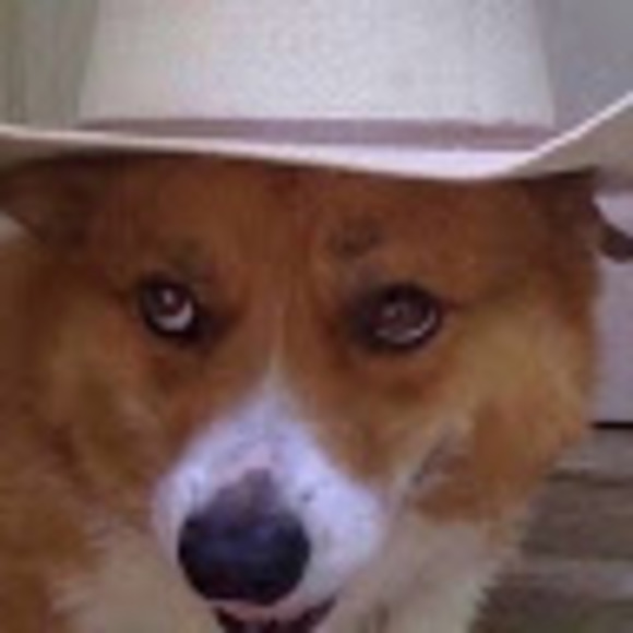 Profile Picture of Sky Cackett (@sky_cackett) on Poshmark