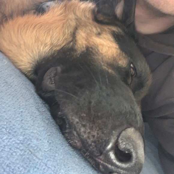 Jason Mckenzie - Poshmark Profile Picture of Jason Mckenzie (@therealnosaj) on Poshmark