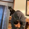Profile Picture of Richard Crocker (@@rikcrok) on Tiktok
